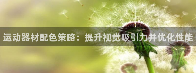 意昂体育3平台是正规平台吗：运动器材配色策略：提升视