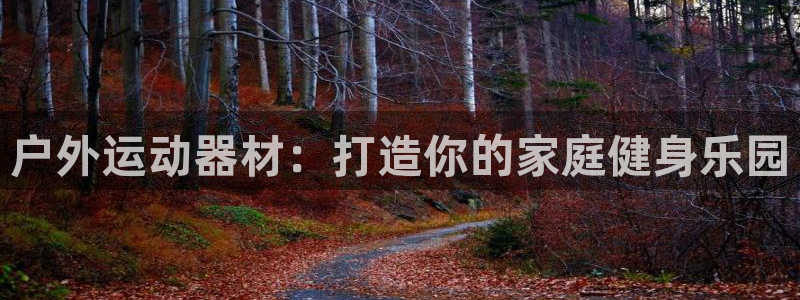 意昂3科技：户外运动器材：打造你的家庭健身乐园