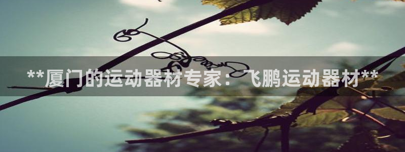 意昂3娱乐是那个系列的台子：**厦门的运动器材专家：