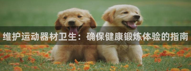 意昂3娱乐网站：维护运动器材卫生：确保健康锻炼体验的