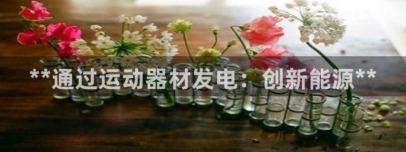 意昂体育3招商电话号码是多少啊：**通过运动器材发电