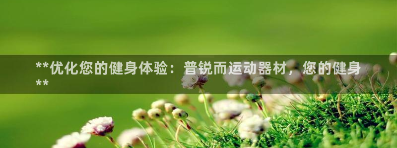意昂体育3是干嘛的公司：**优化您的健身体验：普锐而