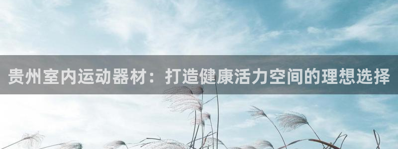 意昂体育3平台注册流程图：贵州室内运动器材：打造健康