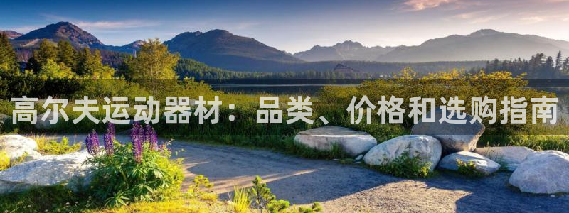 意昂3开户：高尔夫运动器材：品类、价格和选购指南