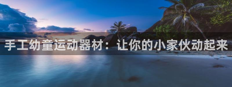 德国意昂3集团：手工幼童运动器材：让你的小家伙动起来