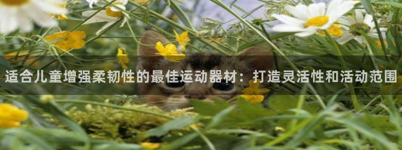 意昂体育3平台假的吗是真的吗：适合儿童增强柔韧性的最
