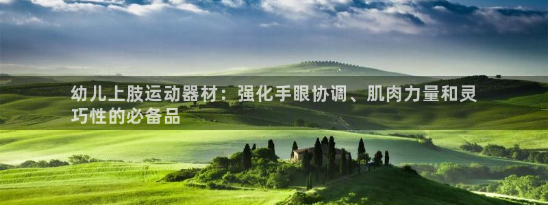 意昂体育3官方客服电话：幼儿上肢运动器材：强化手眼协