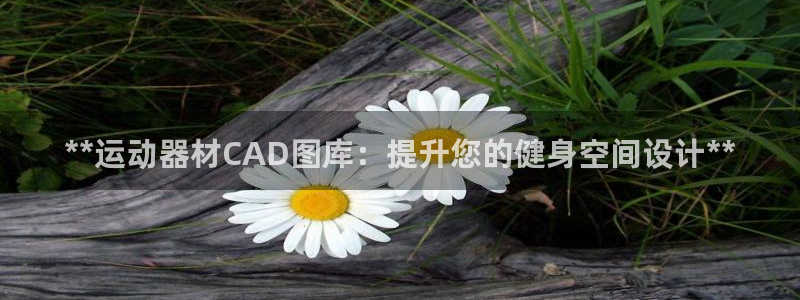 意昂3代理：**运动器材CAD图库：提升您的健身空间