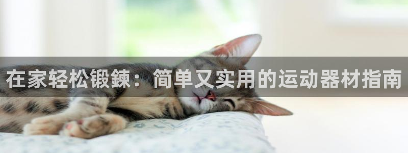 意昂体育3软件：在家轻松锻鍊：简单又实用的运动器材指