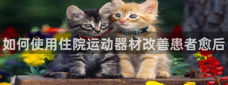 意昂3开户：如何使用住院运动器材改善患者愈后