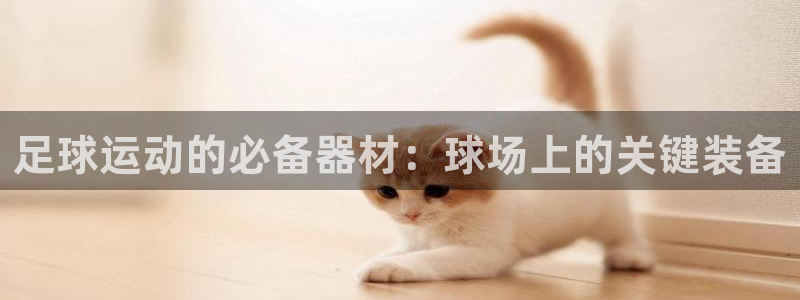 意昂3官方：足球运动的必备器材：球场上的关键装备