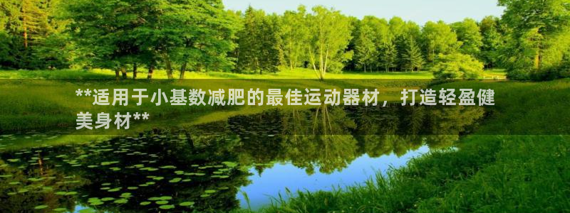 意昂3娱乐网站：**适用于小基数减肥的最佳运动器材，