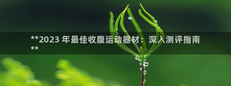 意昂3五金厂：**2023 年最佳收腹运动器材：深入