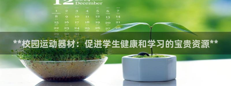 意昂体育3平台注册要钱吗：**校园运动器材：促进学生