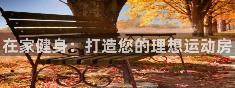 意昂3神州：在家健身：打造您的理想运动房
