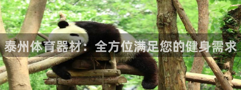 意昂体育3开户：泰州体育器材：全方位满足您的健身需求
