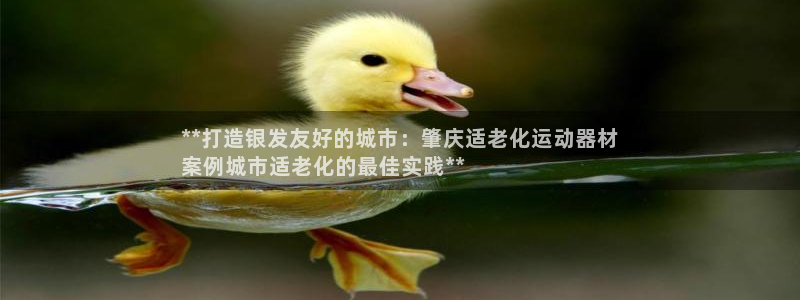 意昂体育3是干嘛的公司：**打造银发友好的城市：肇庆