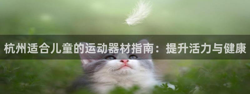 意昂体育3平台假的吗是真的吗：杭州适合儿童的运动器材