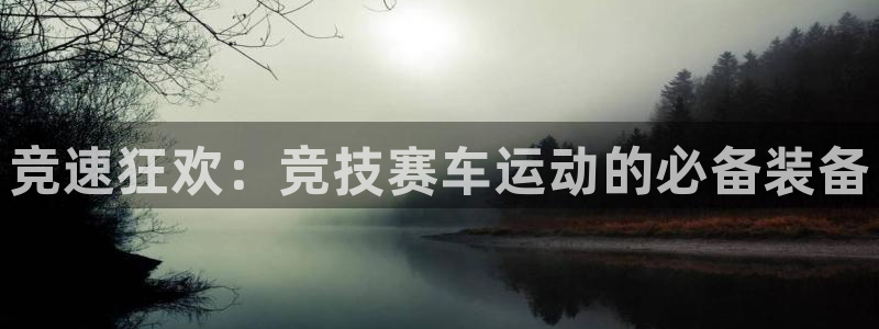 意昂3新能源：竞速狂欢：竞技赛车运动的必备装备