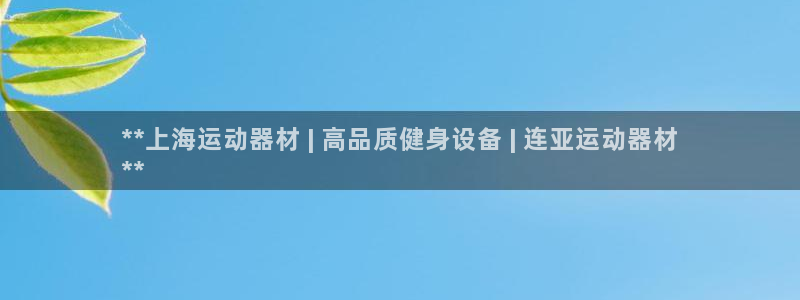 意昂3集团简介：**上海运动器材 | 高品质健身设备