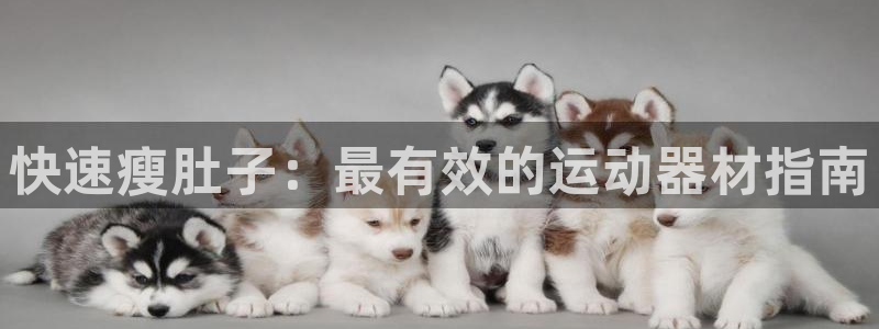 意昂3集团官网网址：快速瘦肚子：最有效的运动器材指南