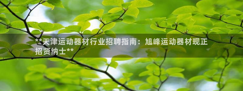 德国意昂3集团：**天津运动器材行业招聘指南：旭峰运