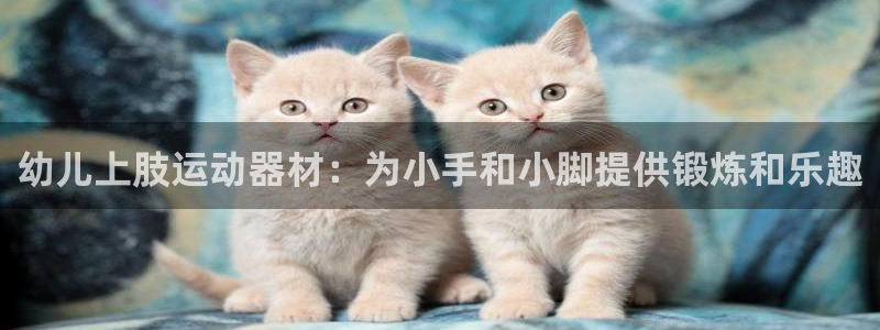 意昂体育3：幼儿上肢运动器材：为小手和小脚提供锻炼和