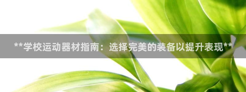 意昂体育3联系电话：**学校运动器材指南：选择完美的