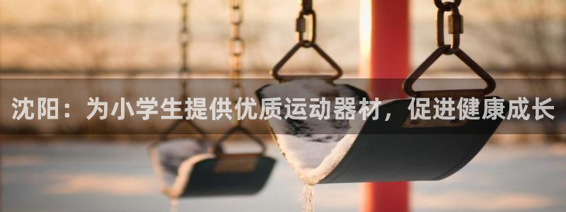 意昂体育3平台APP：沈阳：为小学生提供优质运动器材