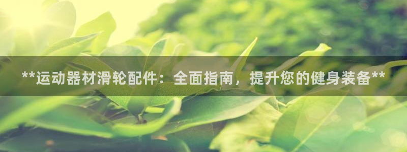 意昂3娱乐：**运动器材滑轮配件：全面指南，提升您的