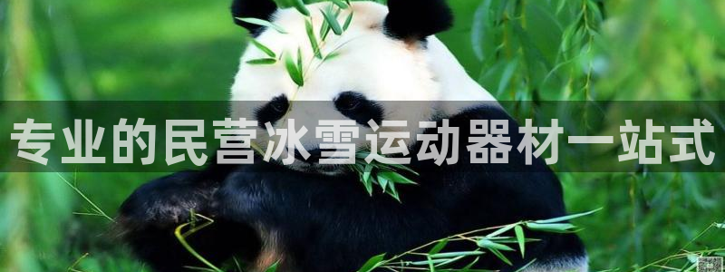 意昂3娱乐：专业的民营冰雪运动器材一站式