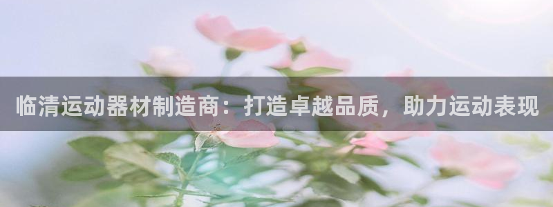 意昂3娱乐40996：临清运动器材制造商：打造卓越品