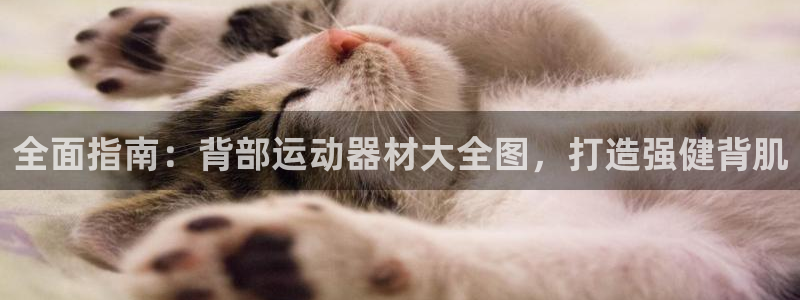 意昂体育3：全面指南：背部运动器材大全图，打造强健背