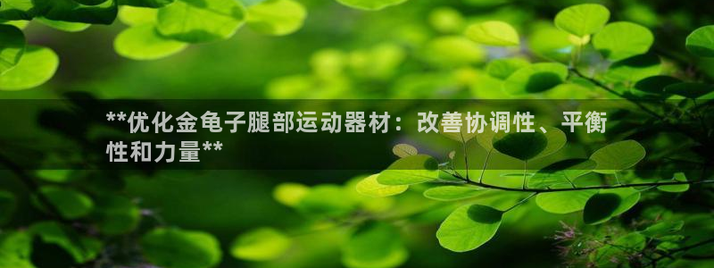 意昂3代理：**优化金龟子腿部运动器材：改善协调性、