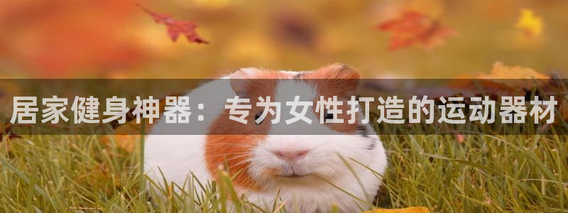 意昂集团官网：居家健身神器：专为女性打造的运动器材