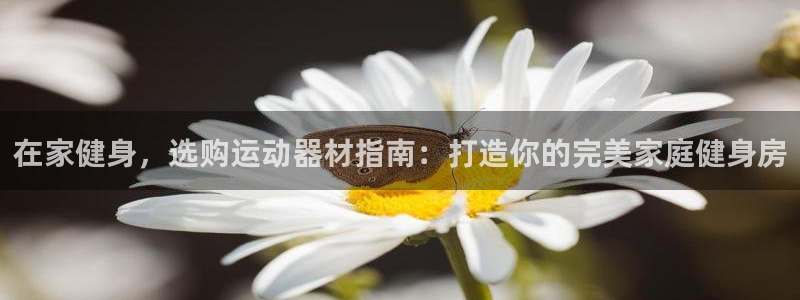 意昂3娱乐代理怎么样：在家健身，选购运动器材指南：打