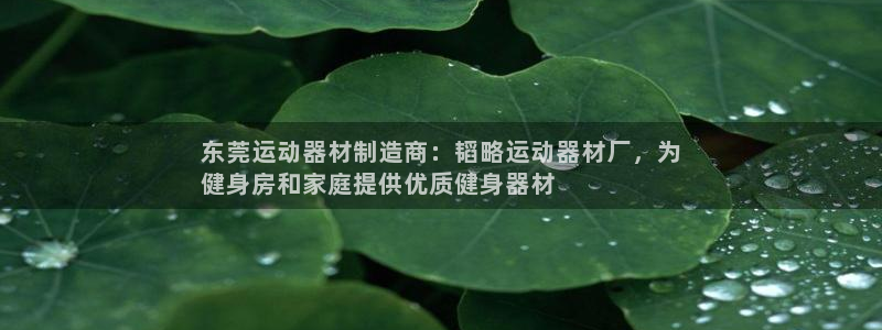 意昂体育3软件：东莞运动器材制造商：韬略运动器材厂，
