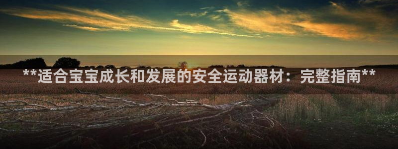 意昂体育3娱乐：**适合宝宝成长和发展的安全运动器材