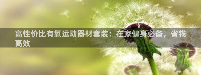 注册意昂3：高性价比有氧运动器材套装：在家健身必备，