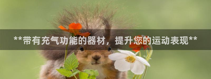 意昂3娱乐下载：**带有充气功能的器材，提升您的运动