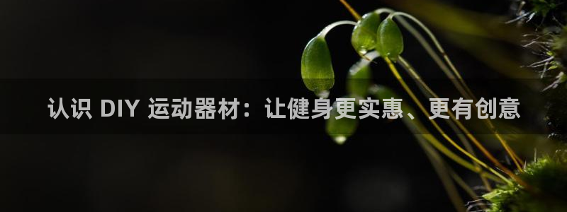 意昂体育3平台是正规平台吗安全吗：认识 DIY 运动器材：让