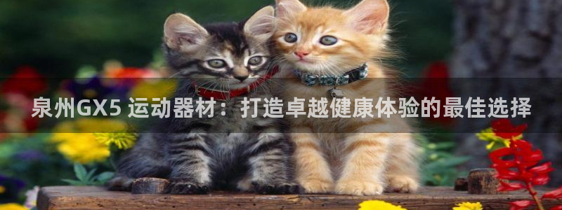 意昂体育3平台：泉州GX5 运动器材：打造卓越健康体验的最佳