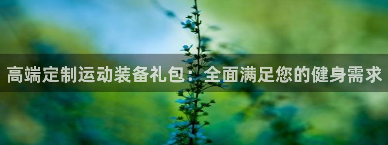 意昂3神州