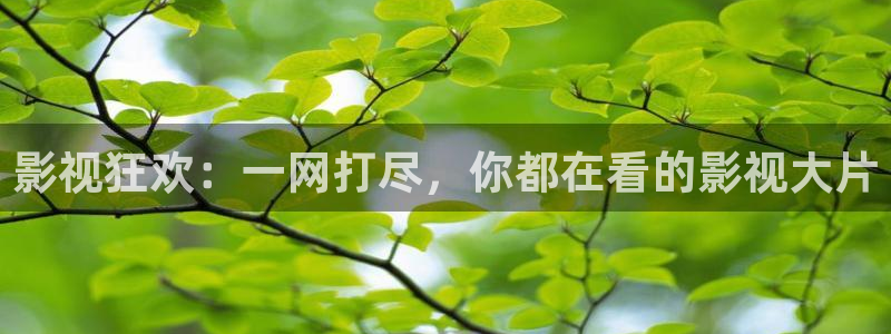 么么哒影院电视剧在线观看